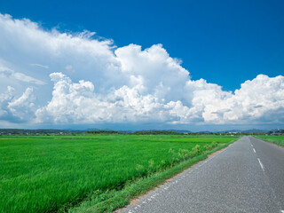田舎の夏と入道雲