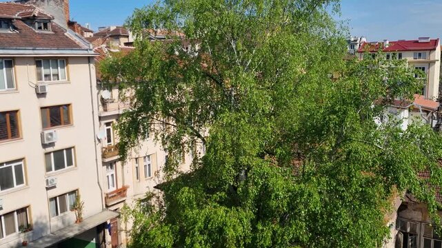 Wide view of a backyard in Sofia&rsquo;s Serdika district, Bulgaria, where modern structures rise beside old brick ruins, illustrating the city&rsquo;s layered history and evolving architecture, sunny day