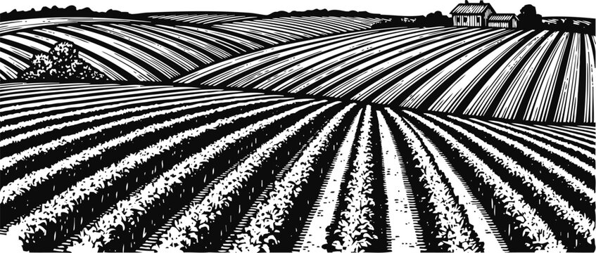 Black and white illustration of cultivated farmland with plowed fields and farmhouse