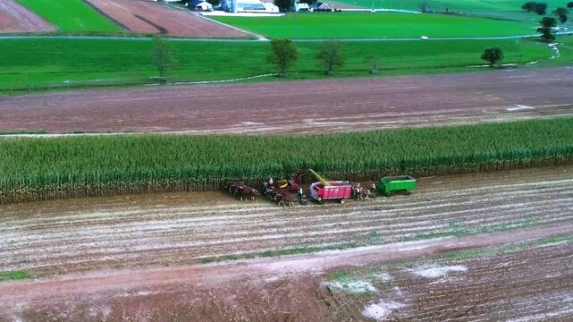 Workers and horse draw machines are busy in the fields harvesting corn in the countryside. The bright sky and green plants show an active day of harvest on the farm.