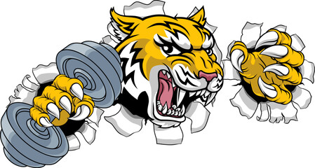 Naklejka premium A wildcat or bobcat lynx bobcats wildcats sports team gym weight lifting dumbbell mascot