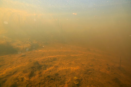 dirty muddy water underwater photo, yellow water, sunlight underwater, swamp or river golden hue