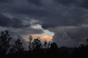 Obraz premium View of forest against cloudy sky, during sunset, Mexico