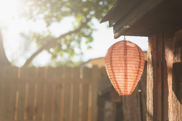 Wasp nest decoy on shed with sunlit backyard with copy space