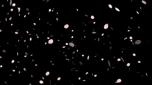 Falling sakura cherry blossom with alpha, Cherry blossom realistic petals falling 2 clip. Falling cherry blossoms. Spring Easter Overlay. 
pink petals overlay alpha channel, sakura petals drifting, 