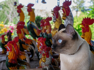 Side Profile of Siamese Cat with Blue Eyes Among Rooster Statues