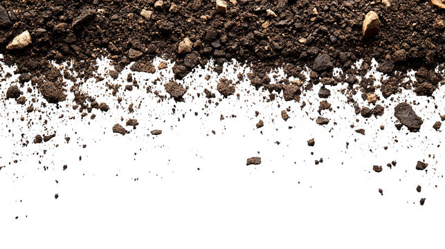 Close-up of rich, dark soil with pebbles and a black background