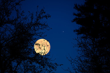 Fototapeta premium Full Moon, stars, planets and landscape scenery silhouettes.