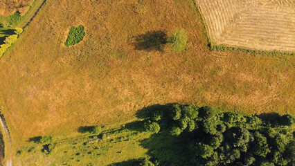 Obraz premium Tranquil sunny summer landscape with green fields and hills.