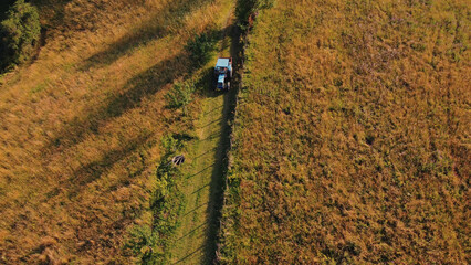 Obraz premium Tranquil sunny summer landscape with green fields and hills.