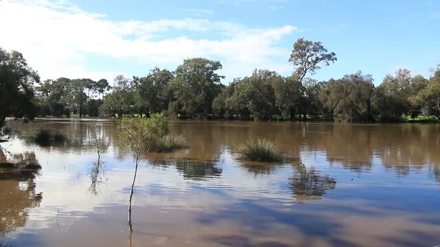 Swan River near Guildford in the Swan Valley, pan left view