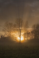 Fototapeta premium Morning sun