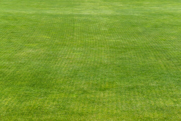 Perfect lawn on a golf course