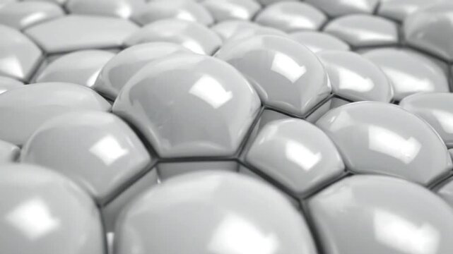 Abstract white cell pattern with smooth, rounded shapes and dark gray outlines.