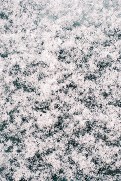 Fresh Snowflakes on Surface Close-Up