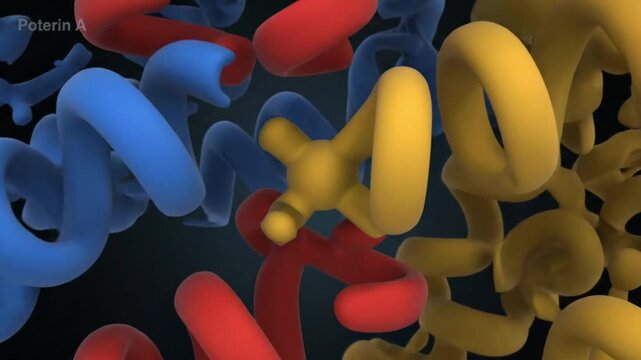 3D Structure of Protein Poterin A and Poilnit A Scientific Visualization