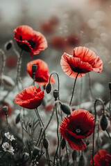 Red poppy flowers generated.AI