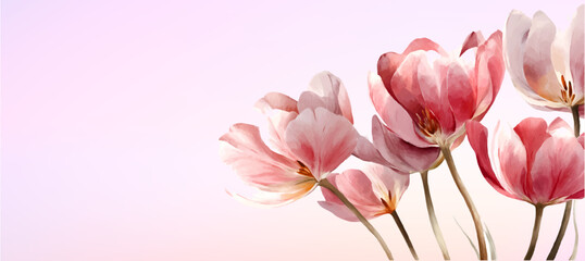 Naklejka premium Watercolor tulip bouquet with soft pink petals and spring flowers creates elegant floral border design for posters, banners, and botanical illustration projects. Vector illustration.