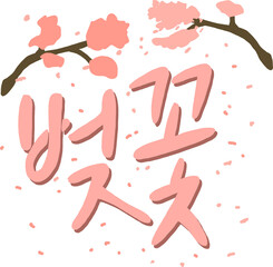 따뜻한 봄날을 상징하는 벚꽃 이미지로 분홍빛 꽃잎과 화사한 분위기를 담아 계절 배경, 감성 디자인, 봄 콘텐츠에 활용하기 좋은 벚꽃 비주얼