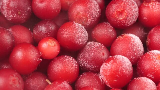 Freezing lingonberry with cold air blast and ice particles, slow dolly shot.