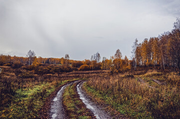 dirt road through forest after heavy rain © moskvich1977