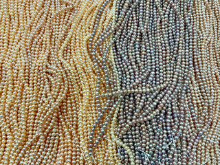 Colorful pearl background and texture. Beautiful freshwater pearl 