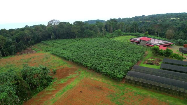 Aerial circular view of a vanilla plantation and its greenhouses at Ilha do Principe,Sao Tome,Africa.