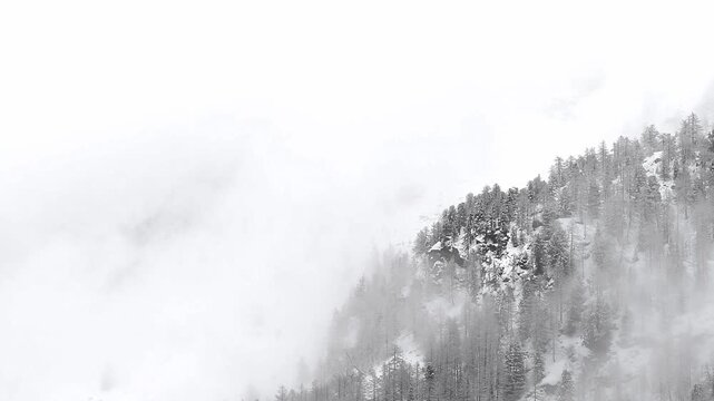 Mists envelop the Alpine forest after snowstorm, Italy landscape