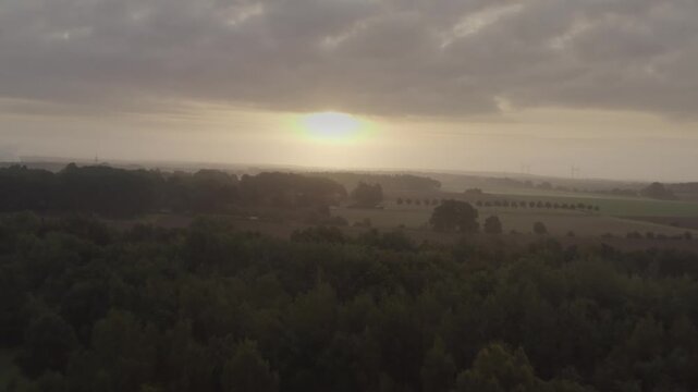 The sun sets behind a dense forest belt near L&uuml;neburg. Soft, diffused light breaks through the clouds, illuminating the vast, flat landscape in subtle shades of grey and gold.