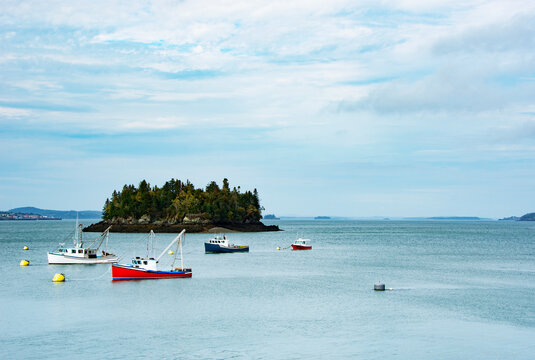 USA, Maine, Lubec, Fishing boats anchored on Johnson Bay