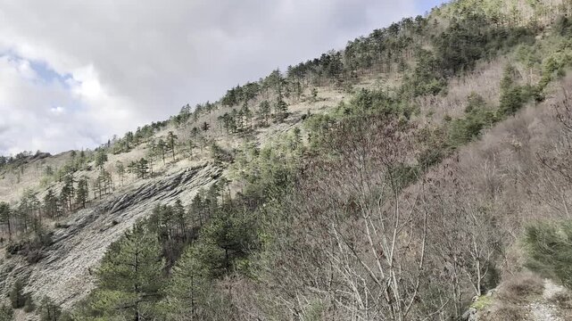Vista dalla cima della montagna della valle