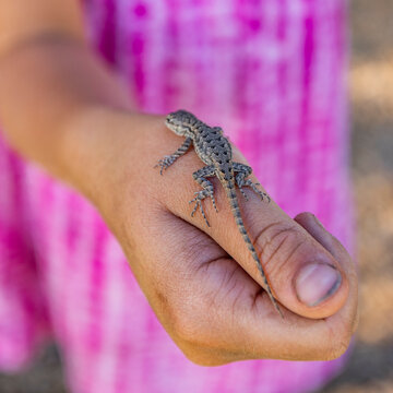 Close-up of small lizard on girls hand
