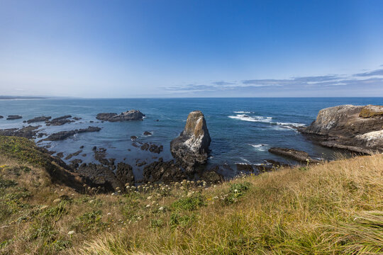 USA, Oregon, Newport, Rocks and wildflowers at Yaquina Head Outstanding Natural Area