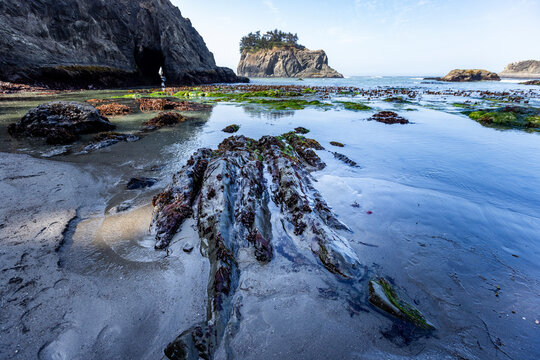 USA, Oregon, Brookings, Seascape at Secret Beach on Oregon Coast