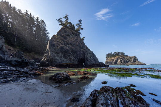 USA, Oregon, Brookings, Seascape at Secret Beach on Oregon Coast