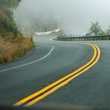 USA, Oregon, Brookings, Highway 1 leading through redwood forests on fog