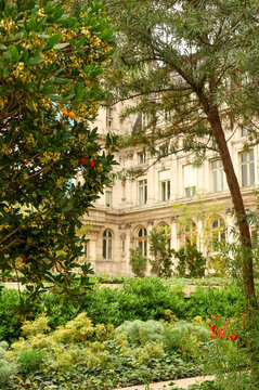 Jardin des Femmes Extraterrestres in Paris, France, with Arbutus unedo fruits against a classic European building