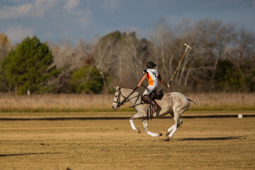 Obraz premium Polo horses, players, gear, equipment, tools, workers, field, sport