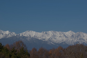 Fototapeta premium 快晴の青空と雪化粧した日本の北アルプス連峰の山並み