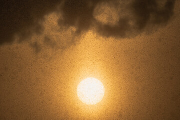 Winter sun shining through falling snow and heavy clouds in Estonia creating a golden misty atmosphere during a snowfall.