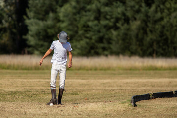 Polo horses, players, gear, equipment, tools, workers, field, sport