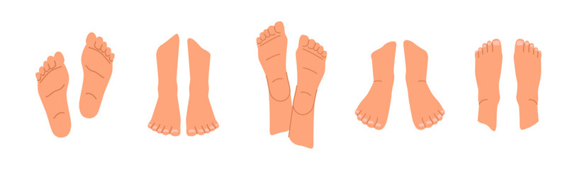 Woman or man legs and ankles, feet and fingers. Vector isolated cartoon female or male body part, top and bottom views. Spa salon or massage treatment and wellness. Human walking barefoot