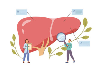 Hepatic organ examination. Vector little doctors with magnifying glass and notes making clinical assessment of liver function. Health care and treatment, inspection and diagnostic tests