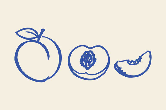 Peach whole half slice doodle fruit line art vector illustration