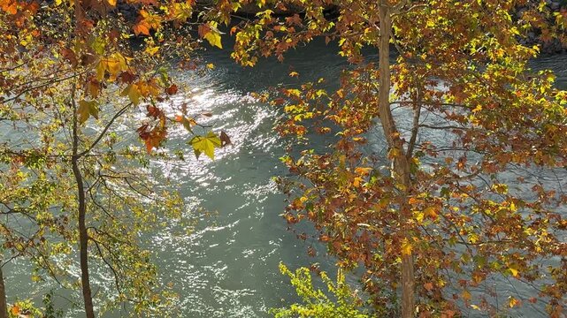 Italy Tiber River Fiume Tevere flows through Rome, view through autumn foliage. Fiume Tevere