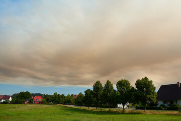 Auswirkungen des Waldbrandes in der S&auml;chsischen Schweiz im Sommer 2022	