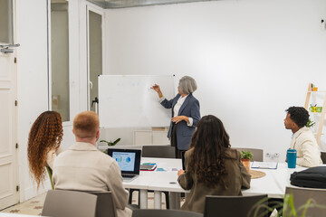 Mature woman leading a collaborative meeting, presenting ideas and strategy to a diverse team in a...