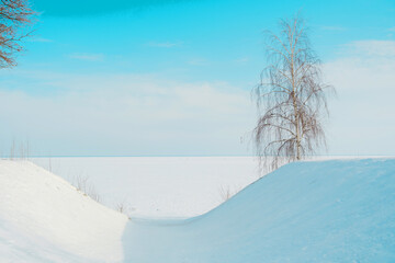 Obraz premium Beautiful winter landscape featuring immense snow fields, frozen ice, and a lone birch tree
