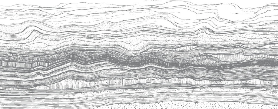 Detailed cross section of geological strata showing sedimentary rock layers and formations geology