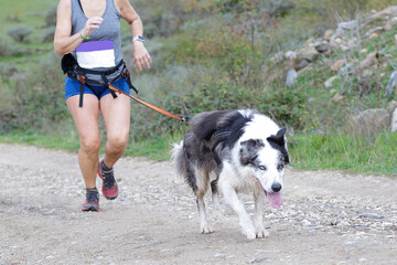 Woman running with her dog during a canicross race